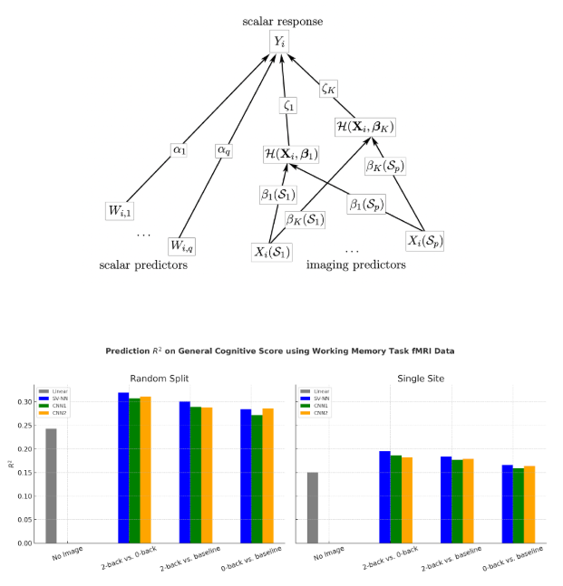 Bayesian Scalar-on-Image Regression with Spatially Varying Neural Network Prior
