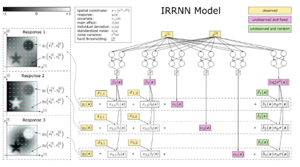 IRRNN model