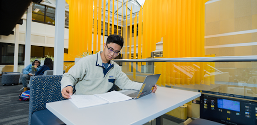 An SPH student working on a laptop