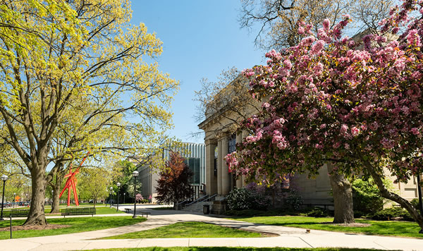Ann Arbor museums