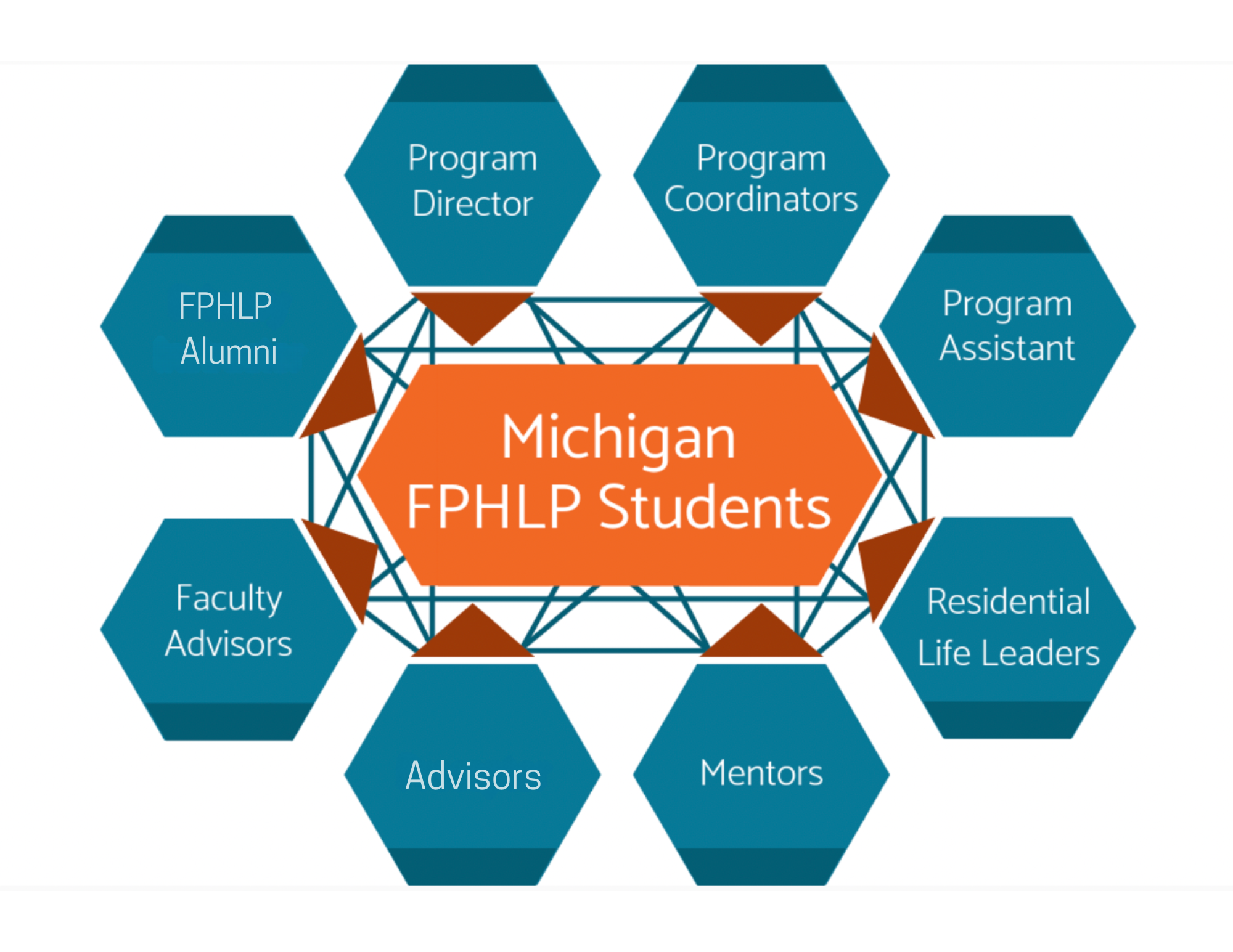 The Web Of Support image reads 'Michigan FPHLP Students' in the center in an orange box. There are blue hexagons surrounding the center box that read 'Program Director,' 'Program Coordinators,' 'Program Assistant,' 'Resident Life Leaders,' 'Mentors,' 'Advisors,' 'Faculty Advisors,' and 'FPHLP Alumni.'