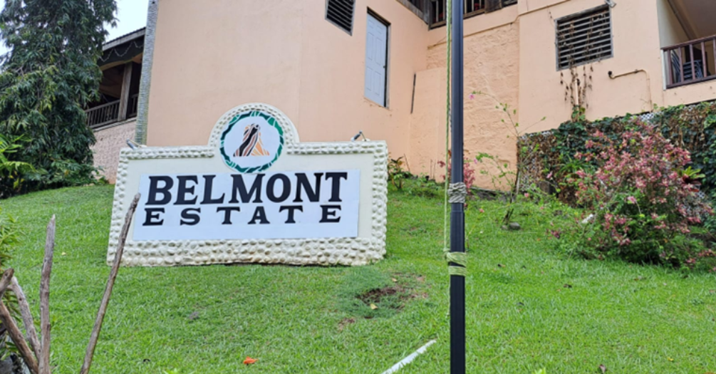 Arman Blog Post Photo 2