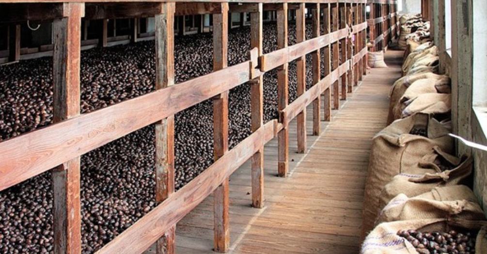 Arman Blog Post Photo 1