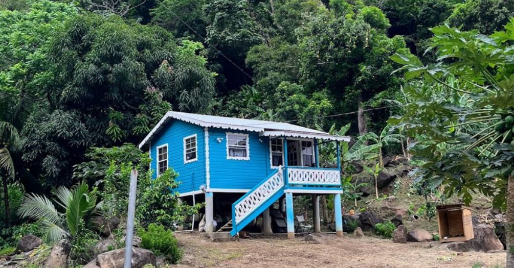 Crittenden blog photo 2