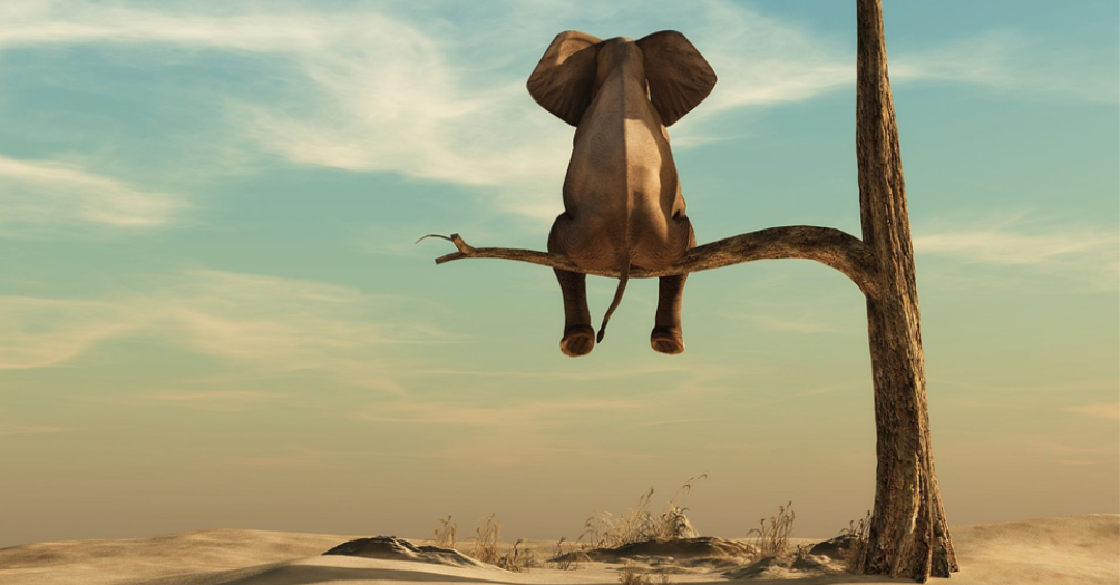 Irving Suarez Photo 1