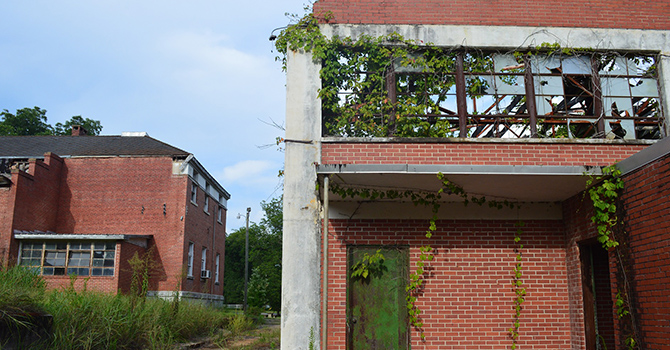 an abandoned building covered by plants