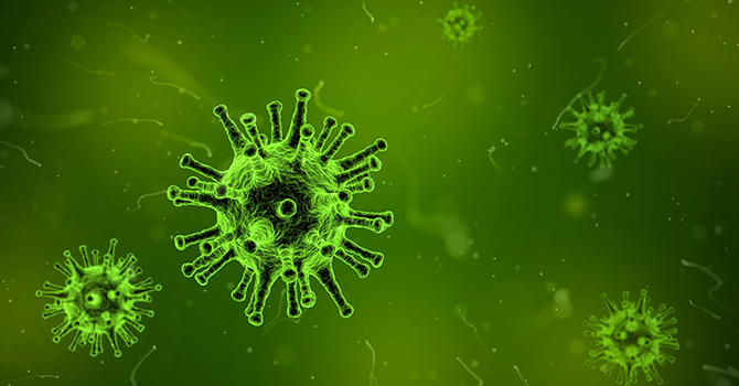 flu virus