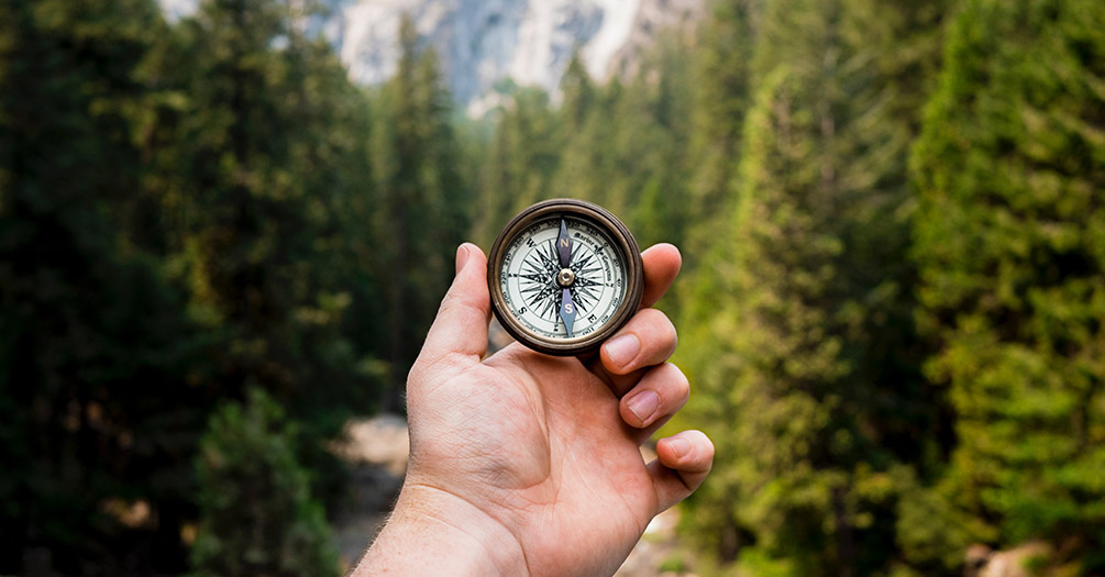 A person holding a compass in the woods.
