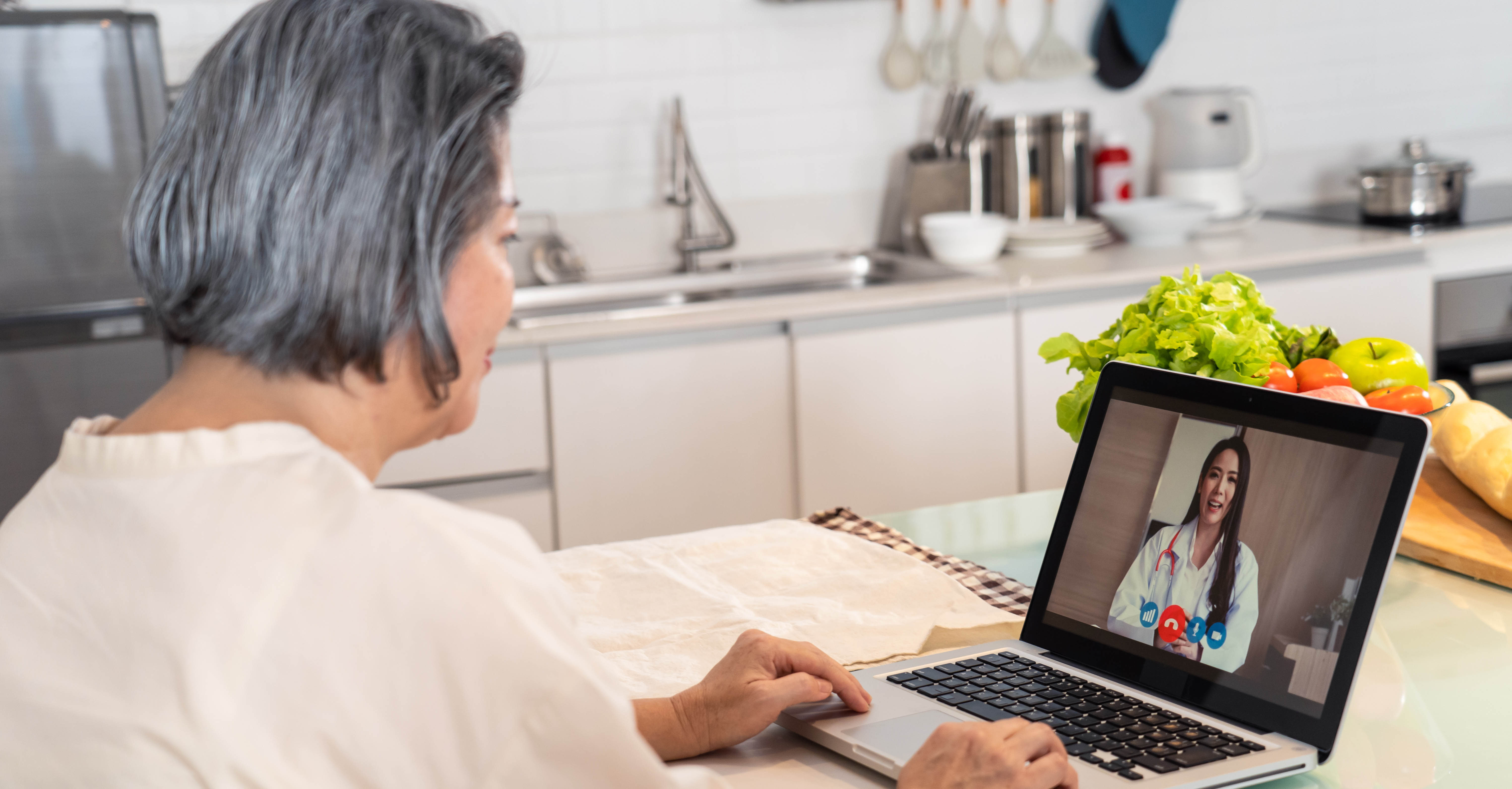 An elderly woman and doctor talking in a telehealth visit via computer.