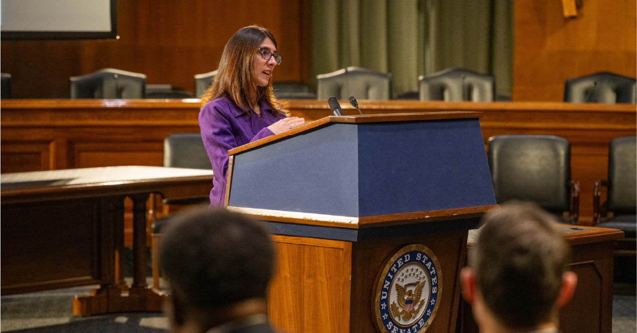 Dr. April Zeoli presents on domestic violence laws and firearm violence. Washington, D.C.