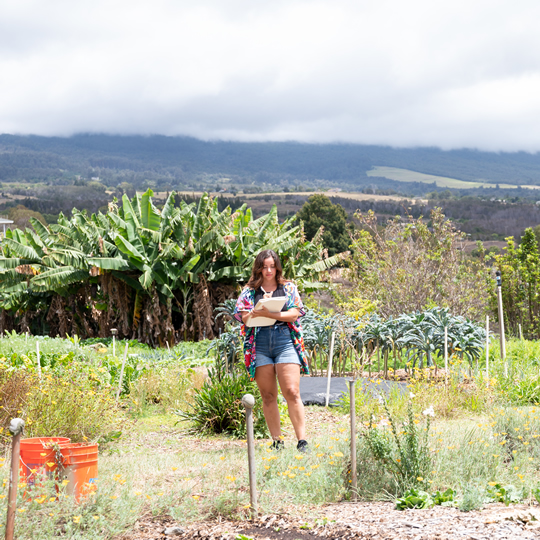 A Michigan Public Health student working in the field